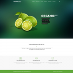 Работа 2932422