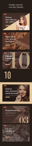Design concept web site Pobeda
