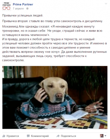 Ведение соцсетей для кадрового агентства Prime Partner