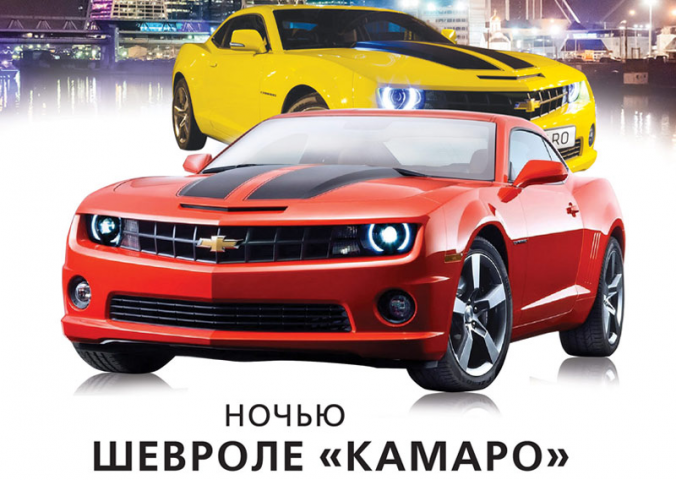 Работа 3542137
