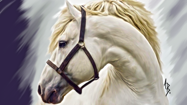 Horse art