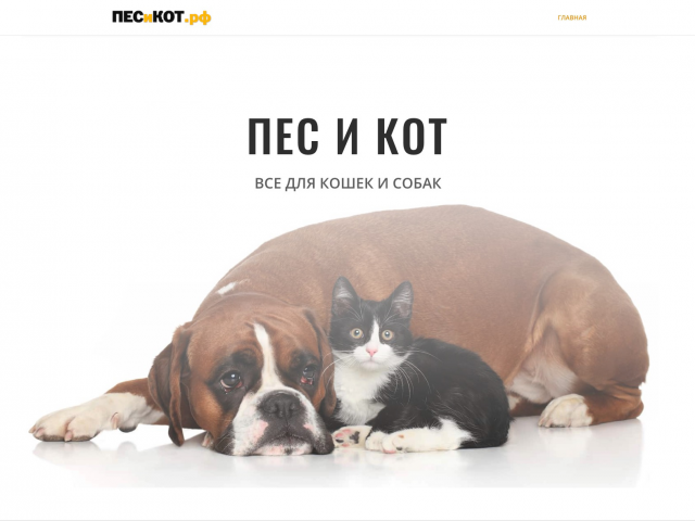Интернет магазин ПЕС и КОТ