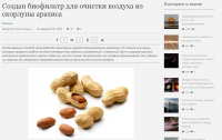 Создан биофильтр для очистки воздуха из скорлупы арахиса