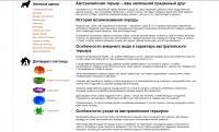 Австралийский терьер – ваш маленький преданный друг