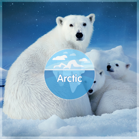 Arctic