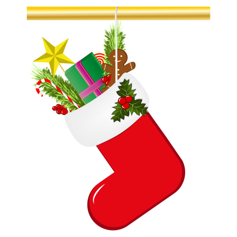 Новогодний сапожок