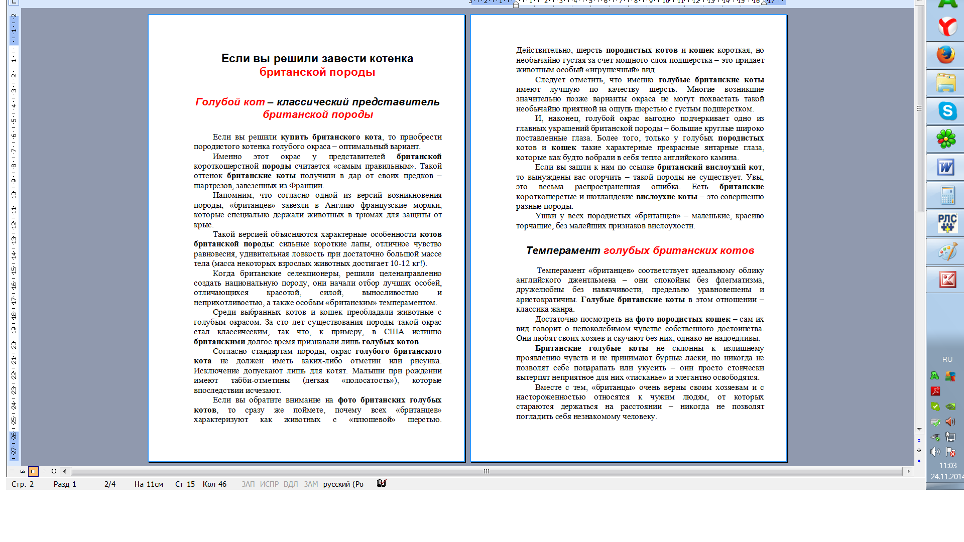 Британский кот.png