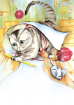 Котёнок