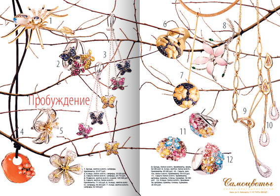 pic2394447.jpg