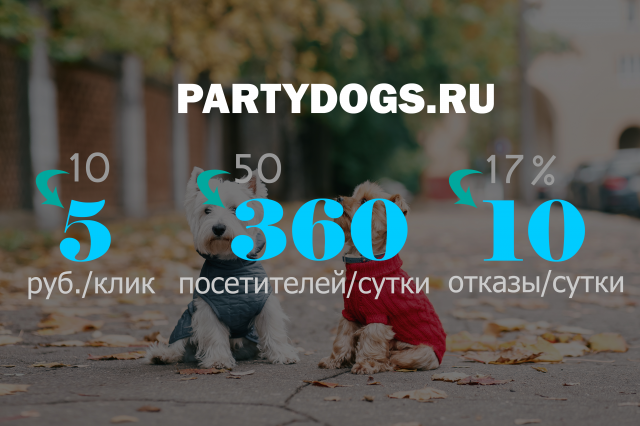 Интернет Магазин Одежды для собак Party Dogs (Яндекс Директ)