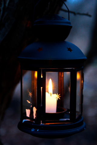 Работа 3535426