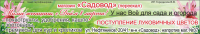рекламный макет в газету