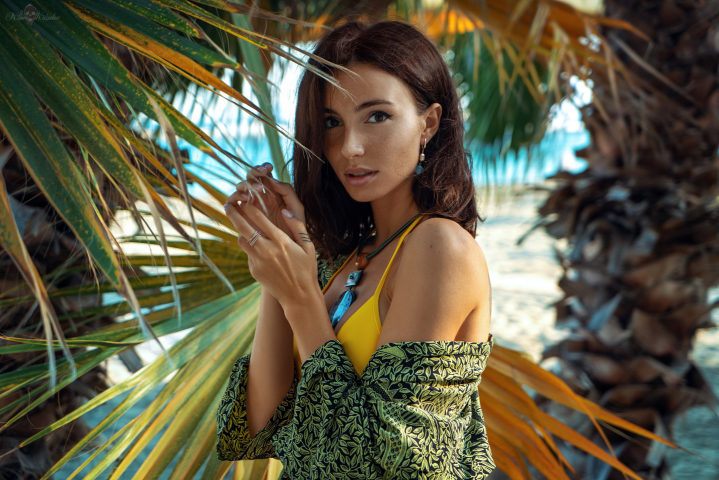 Работа 3533896