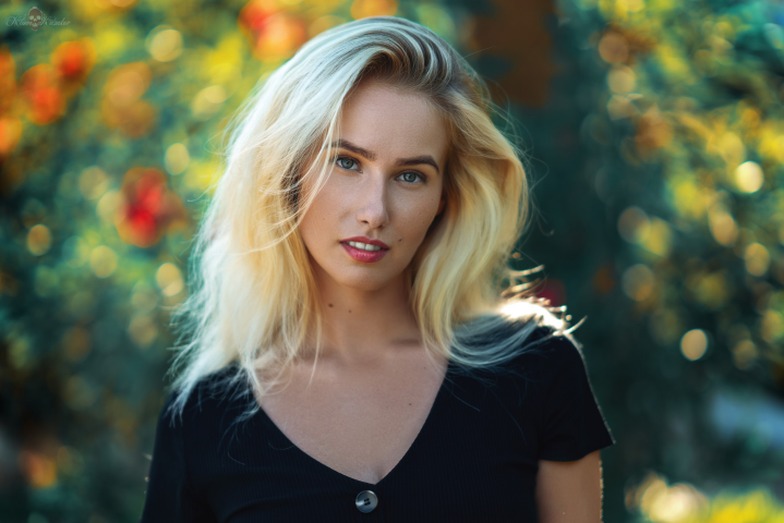 Работа 3533894