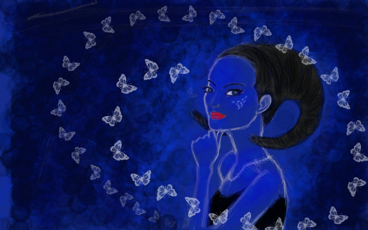 рис13