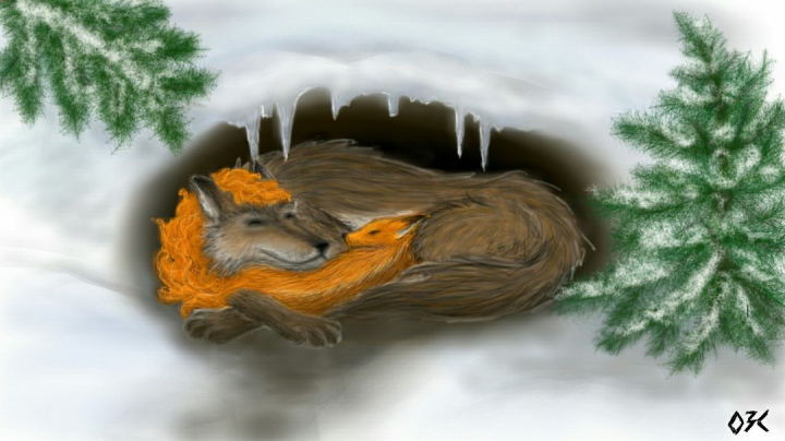 рис11