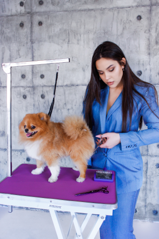 Девушка грумер