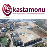 Kastamonu. О лесной отрасли в России и достижениях компании