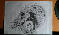 Another girls with owls