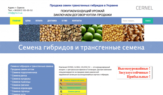 SEO оптимизация сайта