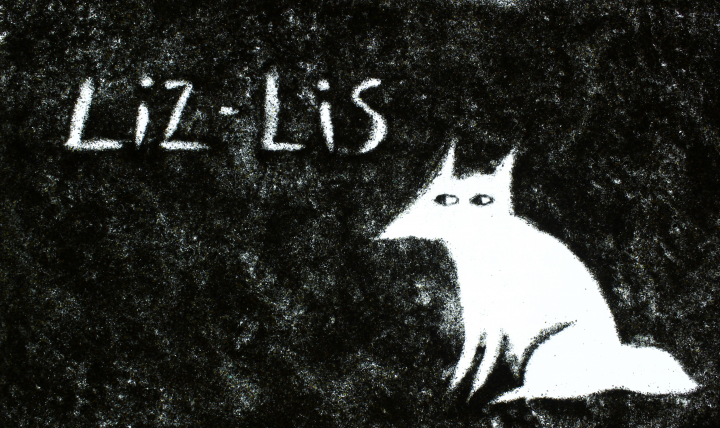 liz-lis