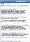Пост в группу Дочки&Сыночки