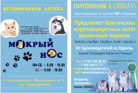 Работа 2652349