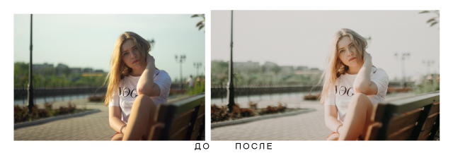 Работа 3450656