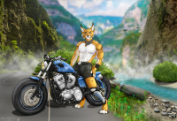 Рысь на Харлее