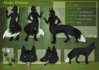 Референс на черного лиса