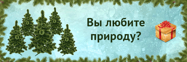 Анимированный баннер