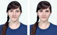 Работа 3025494
