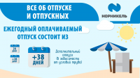 Инфографика для ГМК "Норильский никель"