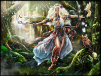 Druid
