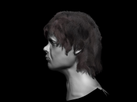 Lanister2