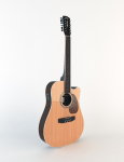 Electro acoustic guitar (12-strings)