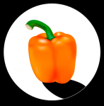 Adobe Illustrator