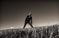 Работа 1249224