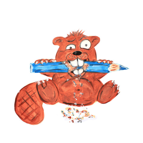 beaver