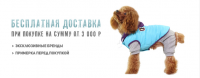 Банер для сайта  www.doggybandanas.ru
