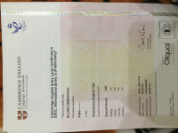 Сертификат Cambridge PET