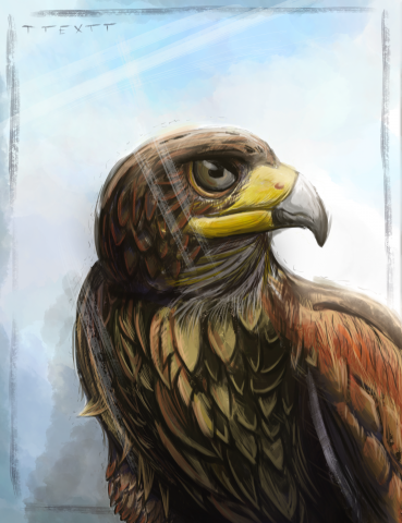 Рисунок Орла  (тест новых кистей)