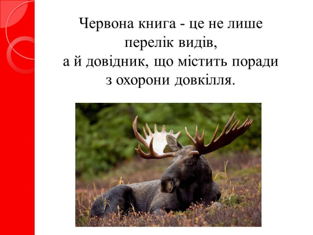 Школьные презентации