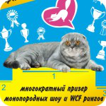 Баннер кота Арнольда)