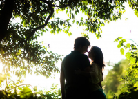 Работа 2882937