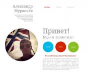 Портфолио