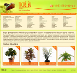 Ficus.su