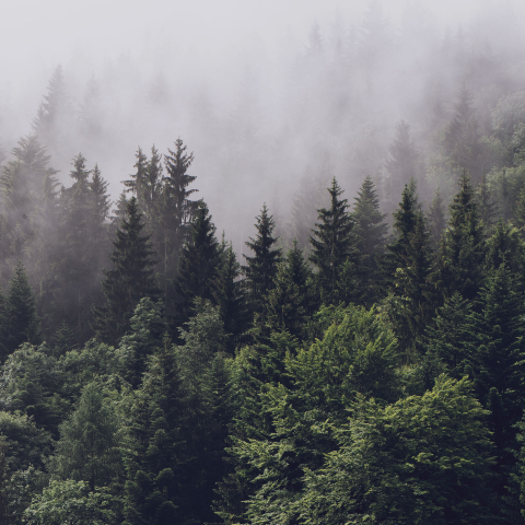 Аранжировка минуса, частотная коррекция