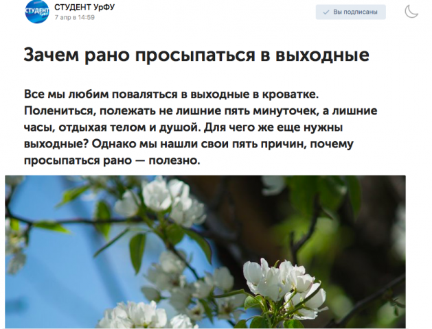 Зачем рано просыпаться в выходные