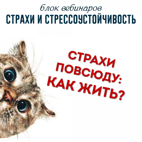 Реклама вебинара